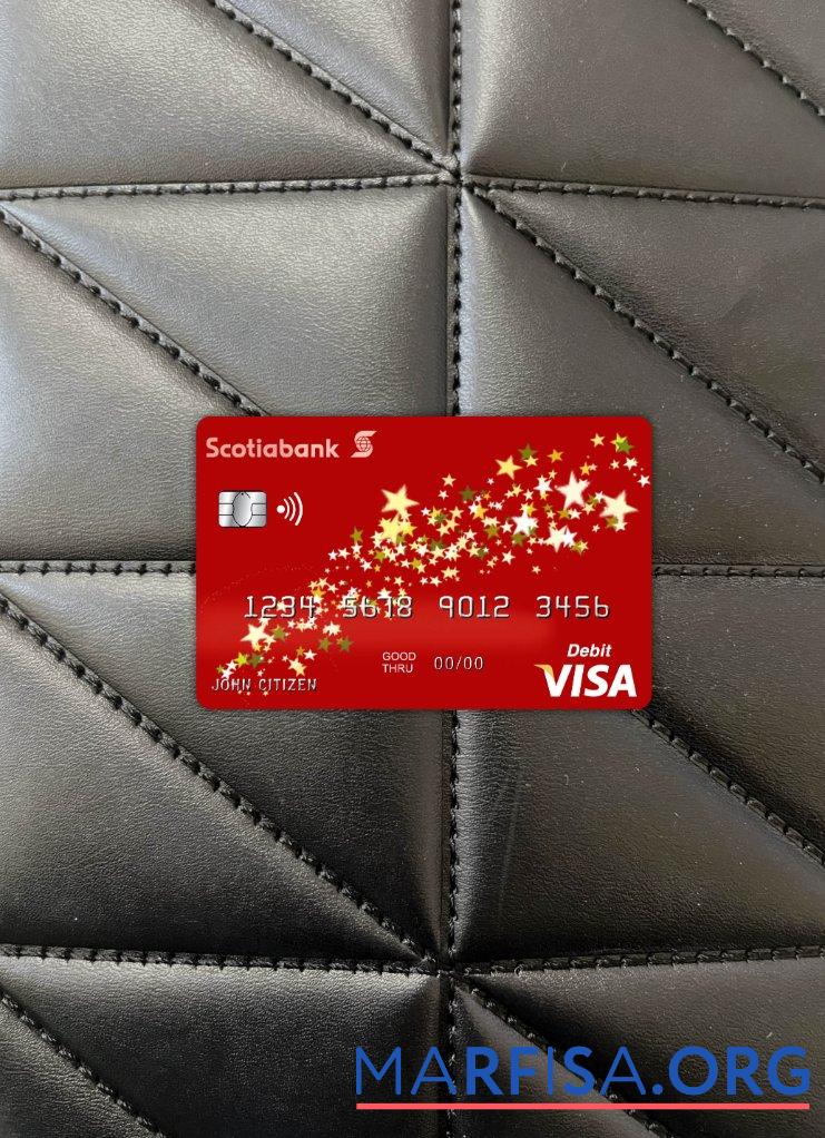 Blank Bahamas Scotia bank visa card photolook front real example
